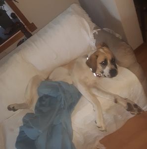 Meet your Posher, Rylin